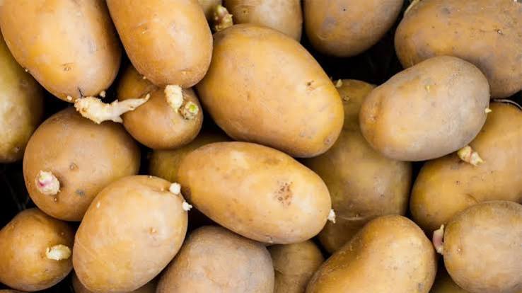 Can You Eat Potatoes With Sprouts